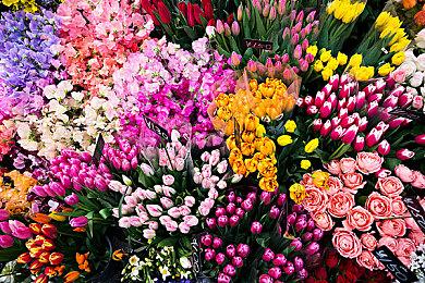 技术可行 《绝地潜兵2》官方将分屏合作列入调研清单